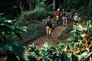 BIB: 
                            <button type="button" onclick="openModal(25845442)" class="btn btn-primary btn-sm float-right btn-popup" data-toggle="modal" data-target=".modal-high-quality">
                        <i class="fas fa-shopping-cart"></i> Add to Cart
                    </button>
                                            <button type="button" onclick="isThisMe(25845442, true)" class="btn btn-success btn-sm float-right btn-popup btn-isme hidden" data-toggle="tooltip" data-placement="bottom" title="นี่คือรูปของคุณใช่ไหม คลิกที่นี่เพื่อเอาเข้าอัลบั้ม">
                        <i class="fas fa-plus"></i> Add to album
                    </button>
                    <button type="button" onclick="isThisMe(25845442, false)" class="btn btn-warning btn-sm float-right btn-popup btn-isnotme hidden">
                        <i class="fas fa-ban"></i> Remove from album
                    </button>